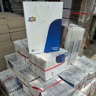 Túi giấy bao bì sản phẩm