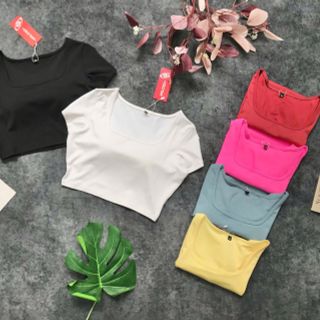 Áo croptop  2 lớp thể thao