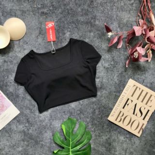 Áo croptop  2 lớp thể thao