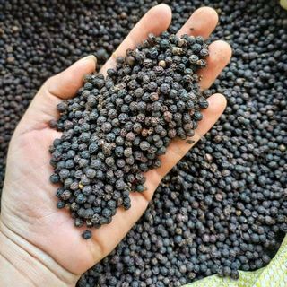Hạt tiêu đen nông sản Đăk Lăk 500gr