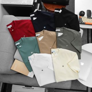 Áo thun basic nam. Chất vải cotton 4 chiều mịn mượt.