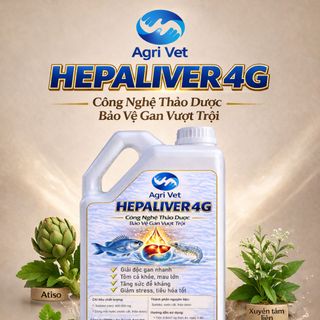 HEPALIVER4G: Thảo Dược Bổ Gan Cho Tôm Cá