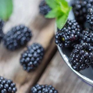 quả phúc bồn tử Đà Lạt