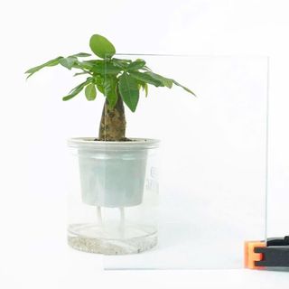 Nhựa cường lực polycacbonate