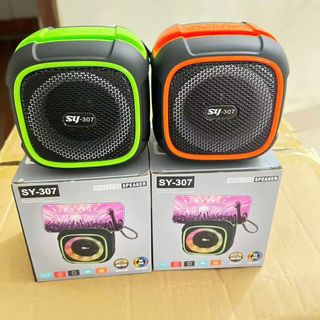 LOA BLUETOOTH  SY-307