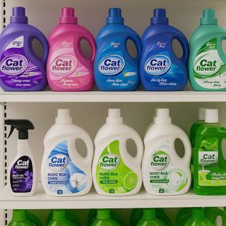 🔥 CAT FLOWER 🔥 TUYỂN ĐẠI LÝ – NHÀ PHÂN PHỐI TOÀN QUỐC