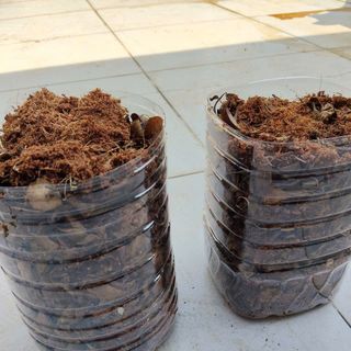 Thùng kèm đất y hình thùng 5 lít