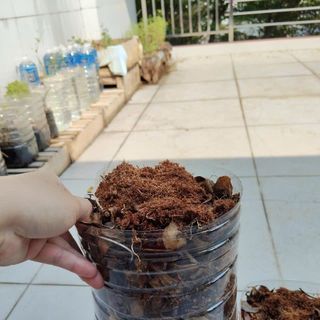 Thùng kèm đất y hình thùng 5 lít