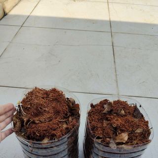 Thùng kèm đất y hình thùng 5 lít