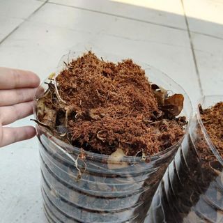 Thùng kèm đất y hình thùng 5 lít