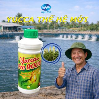 YUCCA PRO 9000: Giảm Khí Độc, Bảo Vệ Tôm Cá