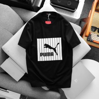 Áo thun nam, chất cotton 4c co giãn dày dặn,mền mịn mát.