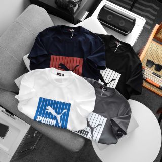 Áo thun nam, chất cotton 4c co giãn dày dặn,mền mịn mát.