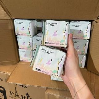 Băng Vệ Sinh Hàng Ngày Top Gia