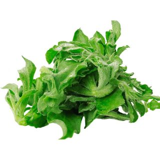 RAU KIM CƯƠNG ĐÀ LẠT - RAU CAO CẤP, GIÒN NGON, GIÁ TỐT TẠI TP.HCM