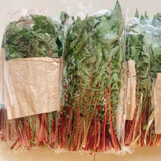 BỒ CÔNG ANH ĐÀ LẠT - TƯƠI & TRÀ TÚI LỌC