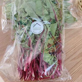 BỒ CÔNG ANH ĐÀ LẠT - TƯƠI & TRÀ TÚI LỌC