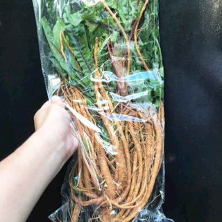 BỒ CÔNG ANH ĐÀ LẠT - TƯƠI & TRÀ TÚI LỌC