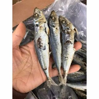 Khô cá nục hấp 1KG giàu dinh dưỡng , chất lượng hảo hạng , được chế biến từ hải sản tươi ngon vùng biển Cà Mau