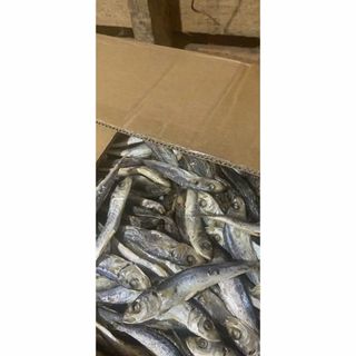 Khô cá nục hấp 1KG giàu dinh dưỡng , chất lượng hảo hạng , được chế biến từ hải sản tươi ngon vùng biển Cà Mau