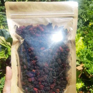 Dâu tằm sấy Đà Lạt - ăn vặt ngon, tốt cho sức khỏe