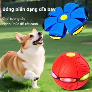 TÚI BANH ĐẠNH MA THUẬT