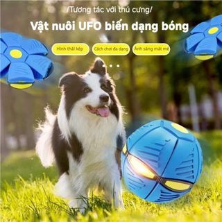 TÚI BANH ĐẠNH MA THUẬT