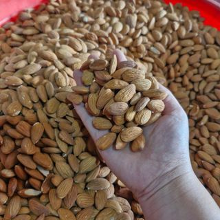 Hạnh Nhân Sấy Chín