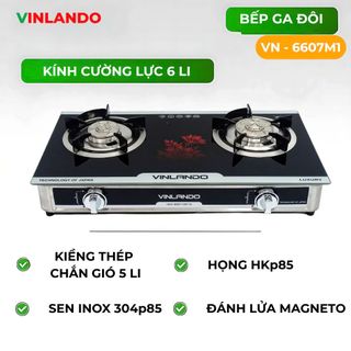 BẾP GAS ĐÔI MẶT KÍNH VINLANDO MODEL- VN6607 M2