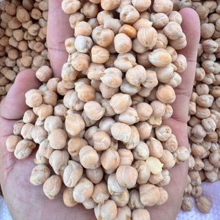 Đậu gà trắng size 9mm nhập khẩu Canada