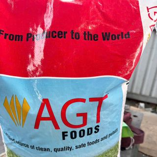 Đậu gà trắng size 9mm nhập khẩu Canada