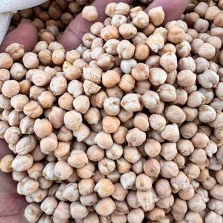 Đậu gà trắng size 9mm nhập khẩu Canada