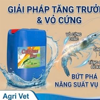 CALPHOS PRO: giải pháp tăng tưởng và cứng vỏ cho tôm