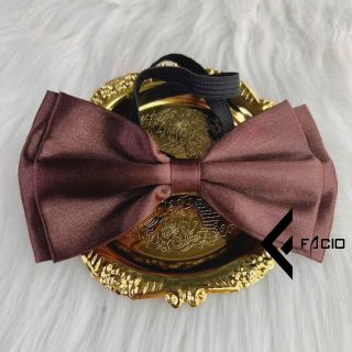 Nơ đeo cổ nam Facio phi bóng thắt sẵn X05