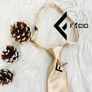 Cà vạt nữ Facio phi bóng trơn thắt sẵn đầu nhọn C25