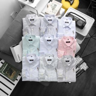 SOMI POLO Tay Dài. Chất oxford  dày dặn.