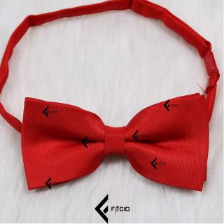 Nơ đeo cổ nam Facio poly sẹc thắt sẵn dây cài X31