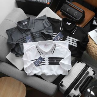 ÁO THUN CỔ BẺ FORM BODY SRB21 S1 P357 - LADY'S PASSION