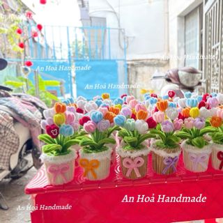 Chậu hoa tulip kẽm nhung các loại đủ màu sắc