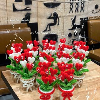 Chậu hoa kẽm nhung hình trái tim