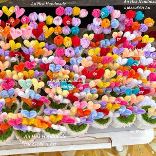 Chậu hoa kẽm nhung hình trái tim