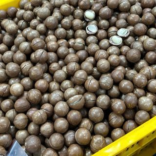 Mắc Ca Đắk Lắk Đặc Sản Tây Nguyên - Macca Hàng Loại Vip Cồ (28-33mm) - Đã Tách Nứt Vỏ - Healthy Ít Chất Béo Tự nhiên Không Chất Bảo Quản nhan macca