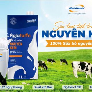 SỮA TƯƠI TIỆT TRÙNG NGUYÊN KEM HOLAFARM – 100% sữa bò nguyên chất
