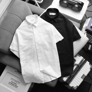 Sơ mi tay dài nam. Vải linnen.