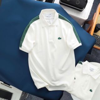 Polo Shirt man,   logo cá siêu xịn, full tem tag   chất thun cotton 4c cá sấu cao cấp