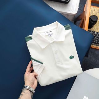 Polo Shirt man,   logo cá siêu xịn, full tem tag   chất thun cotton 4c cá sấu cao cấp