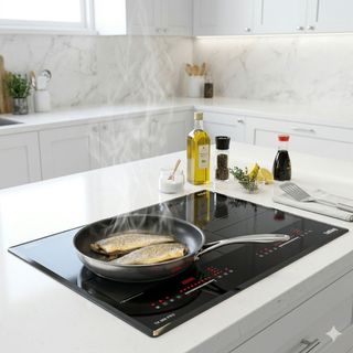 Bếp Từ Đôi TK 988 PRO TaKing