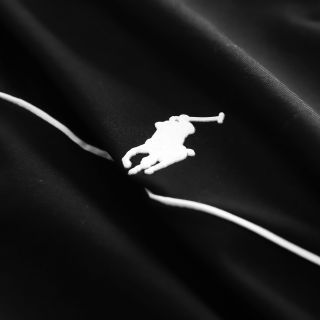 Áo Polo basic  Cotton 4 chiều xịn, sờ vào là thích