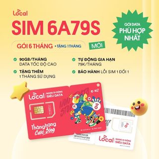 Sim vật lý gán gói 6A79S
