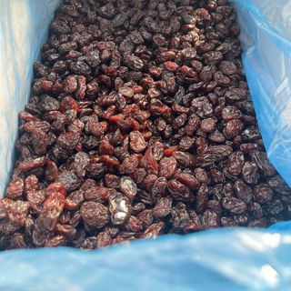 Nho Nâu Chile - Rains Brown Chile